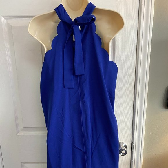 Blue Midi Dress with tie in back - Picture 5 of 7